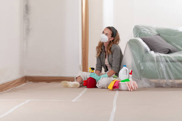 Reliable Black Mold Removal contractor in Lexington, TN by WQB Mold Removal